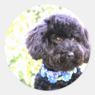 Zuverlässiger liebevoller Freund Runder Aufkleber