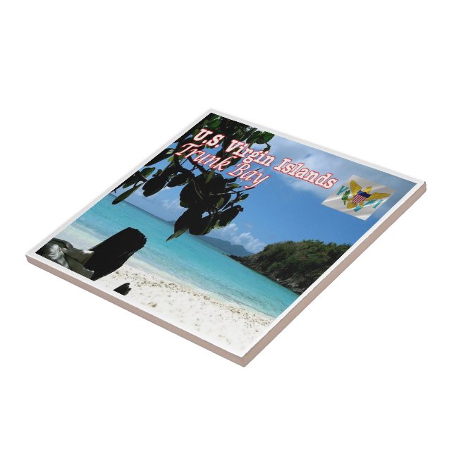 zVI016 JUNGFRAU ISLANDS, Trunk Bay, Amerika, Fliese (Seite)