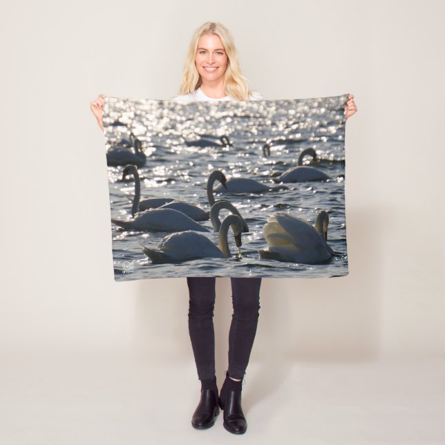 Zwanen in een groep op het water met glinsterend z fleecedecke (Beispiel)