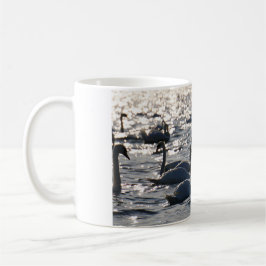 Zwanen in een groep op het water met glinsterend z kaffeetasse