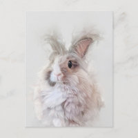 Zwarf Angora Rabbit Wildlife Portrait
