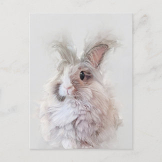 Zwarf Angora Rabbit Wildlife Portrait Postkarte