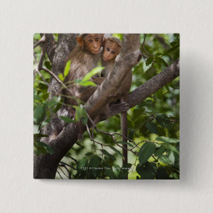 Zwei Affen in einem Baum Button