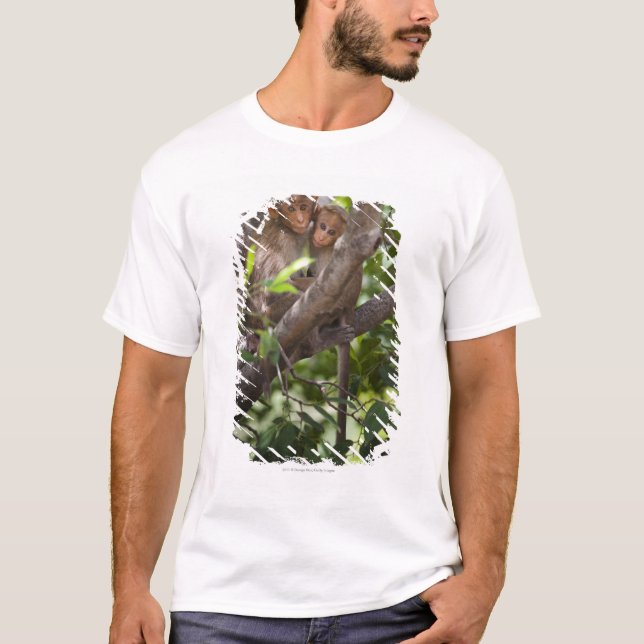 Zwei Affen in einem Baum T-Shirt (Vorderseite)