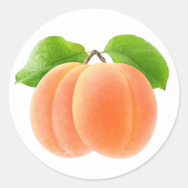 Zwei Aprikosen Runder Aufkleber (Vorderseite)