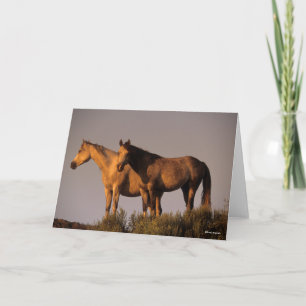 Zwei Araber Stehend, zusammen Abend Light Karte