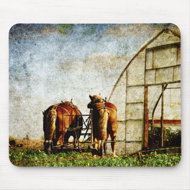 Zwei arbeitsbereite Pferde Mousepad (Vorne)