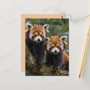 Zwei Baby Red Pandas, Geburtstagskarte Postkarte