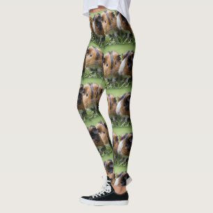 Zwei Baby Tortoiseshell Guinea Schweine, Leggings