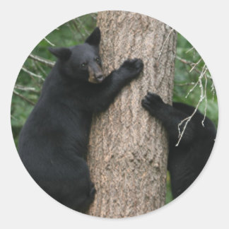 zwei Bären im Baum Runder Aufkleber