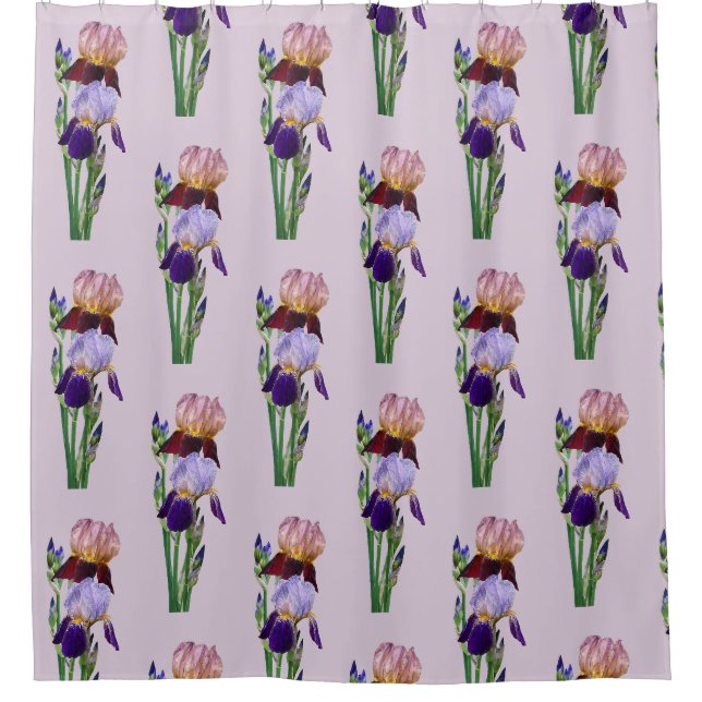 Zwei Bart-Iris Eine Marone Eine Violette Duschvorhang (Vorderseite)