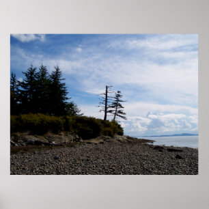 Zwei Baum-Punkt Poster