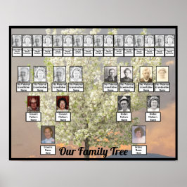 Zwei Baumblüten der Familie - Foto | Rosa Sonnenun Poster