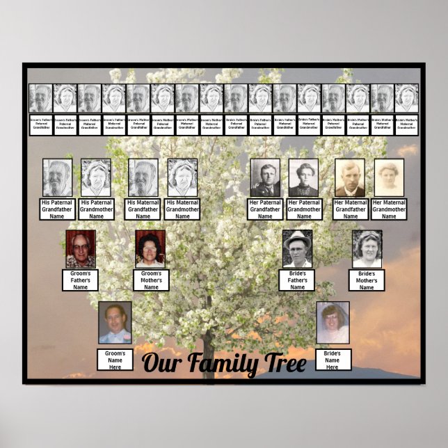 Zwei Baumblüten der Familie - Foto | Rosa Sonnenun Poster (Vorne)