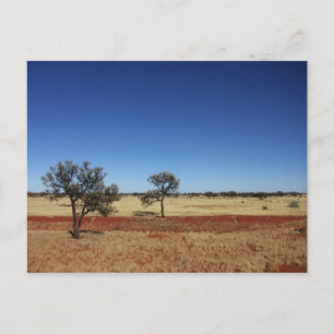 Zwei Bäume Postkarte