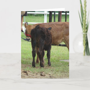 Zwei Beef Show Einsendungen Karte