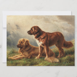 Zwei beobachtende Hunde Karte