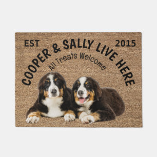 Zwei Berner Hunde Personalisierter Hund Lover Fußmatte