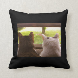 Zwei BESTE FREUNDIN Katzen, die aus dem Fenster Kissen