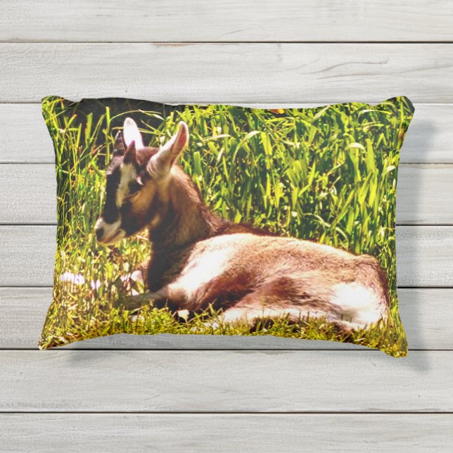 Zwei Bild-Baby-Ziegen-Kissen im Freien Kissen Für Draußen (Rückseite)
