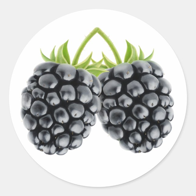 Zwei BlackBerry Runder Aufkleber (Vorderseite)