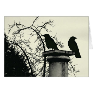 Zwei Blackbirds-Karten