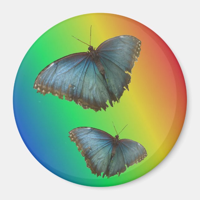 Zwei blaue Morpho-Schmetterlinge Regenbogen-Magnet Magnet (Vorne)
