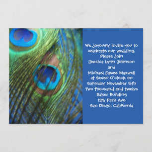 Zwei blaue Pfau-Federn, die Einladung Wedding sind