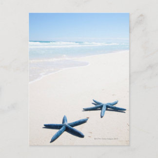 Zwei blaue Seesterne am Rande des Wassers auf trop Postkarte