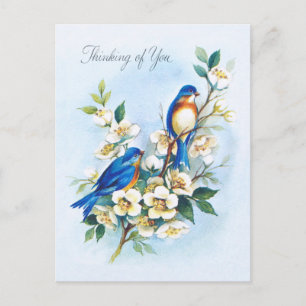 Zwei Blaue Vögel Postkarte