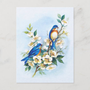 Zwei Blaue Vögel Postkarte