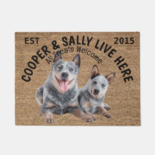 Zwei Blue Heelers Personalisierter Hund Lover Fußmatte