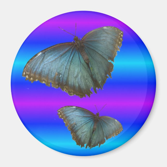Zwei Blue Morpho Butterflies Blue Neon Magnet (Vorne)