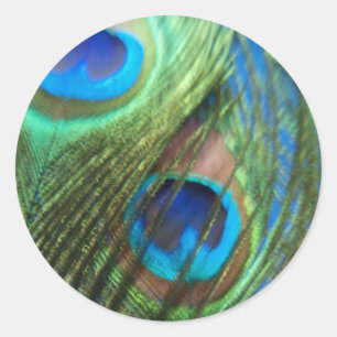 Zwei Blue Peacock Feathers Stickers