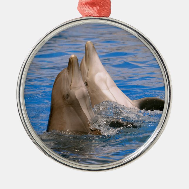 Zwei Bottlenose-Delphine Ornament Aus Metall (Vorne)