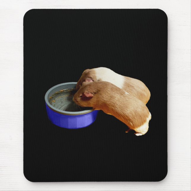 zwei braune und weiße Guinea, Mousepad (Vorne)