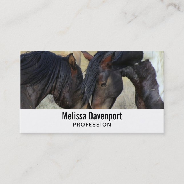 Zwei Brown Wild Horses Nuzzling Business Card Visitenkarte (Vorderseite)