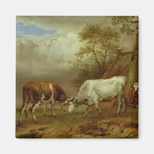 Zwei Bullen mit verstopften Hörnern, 1653 Magnet