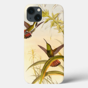 Zwei bunte Kolibris, die die gleiche Blume iPhone 13 Hülle