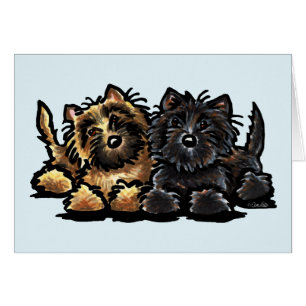 Zwei Cairn Terriers