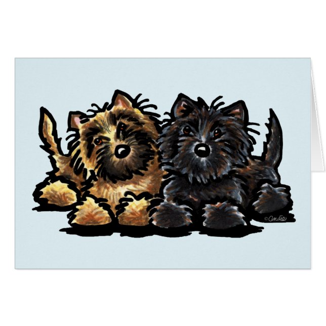Zwei Cairn Terriers (Vorderseite (Horizontal))