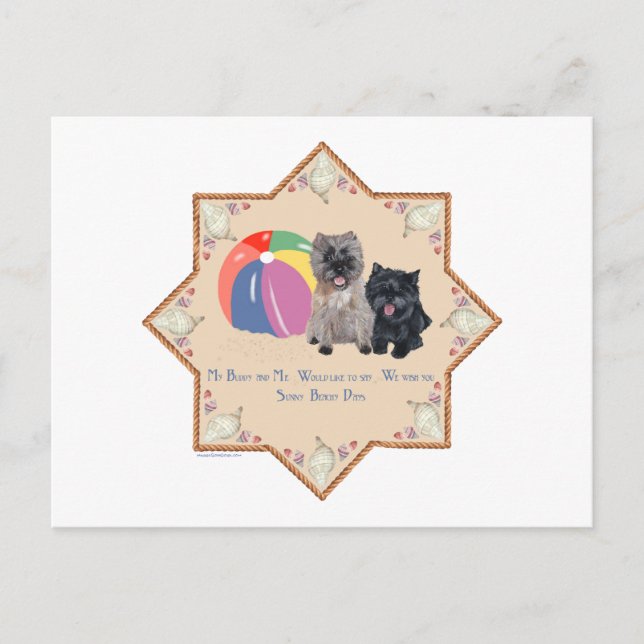 Zwei Cairn Terriers Muscheln Postkarte (Vorderseite)