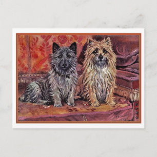 Zwei Cairn Terriers Postkarte