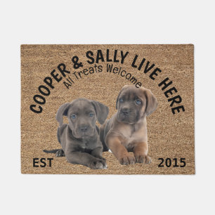 Zwei Cane Corso Personalisierter Hund Lover Fußmatte
