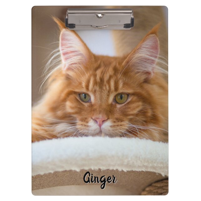 Zwei Cat-Fotos Klemmbrett (Vorderseite)