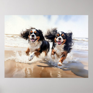 Zwei Cavalier King Charles Spaniels Poster