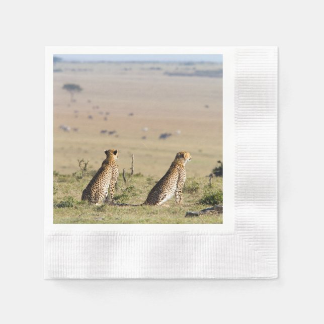 Zwei Cheetahs auf dem Ausblick Serviette (Vorderseite)
