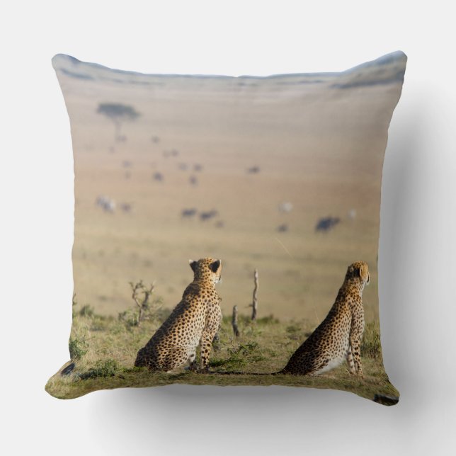 Zwei Cheetahs im Blick Kissen (Vorderseite)