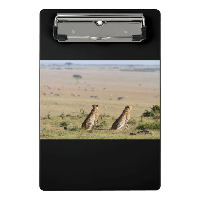 Zwei Cheetahs im Blick Mini Klemmbrett (Vorderseite)