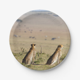 Zwei Cheetahs im Blick Pappteller